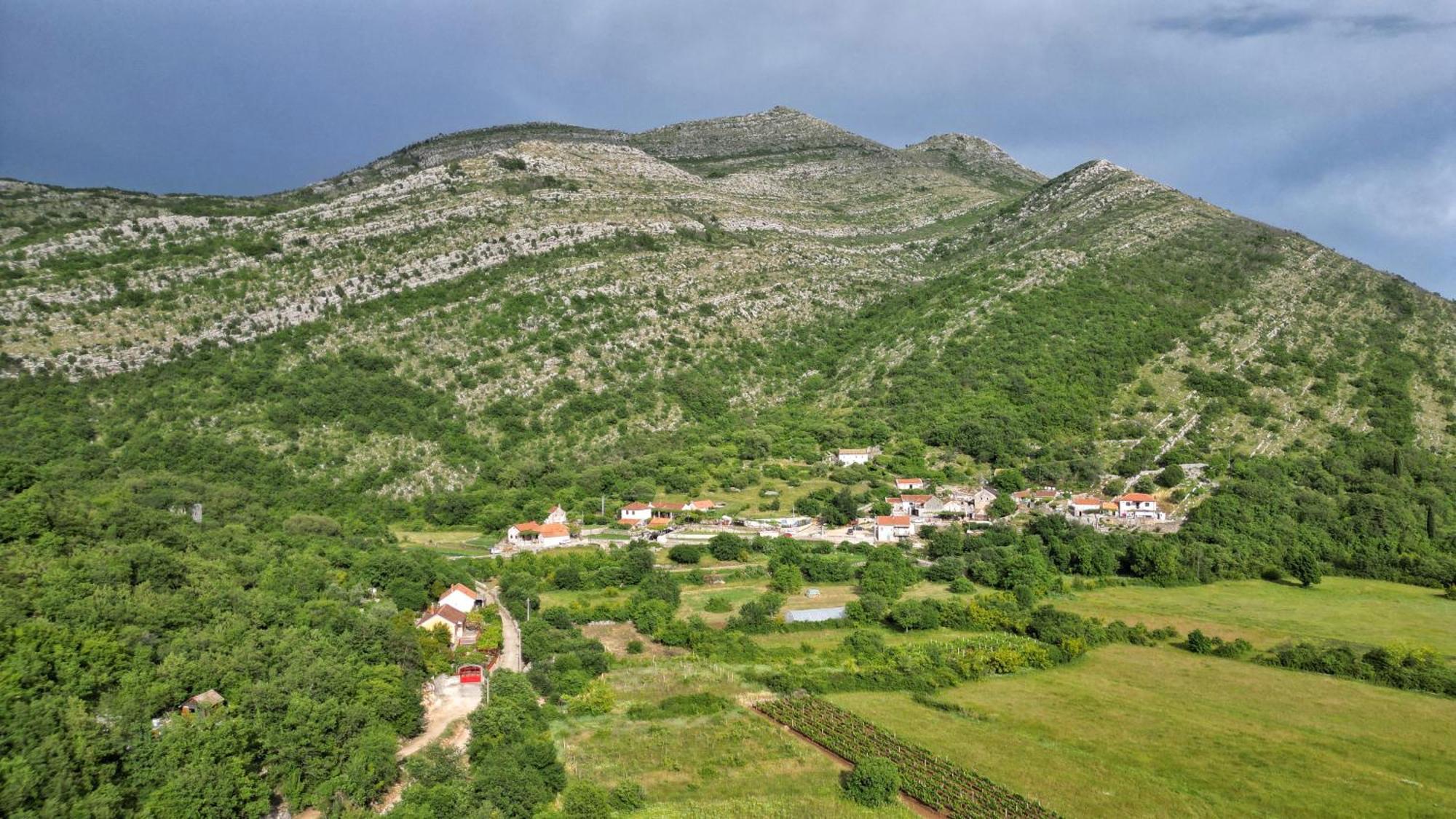 Gazdinstvo Vukanovic - Kuca Za Odmor Villa